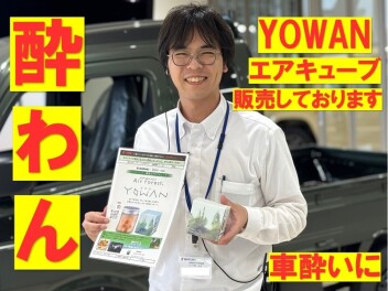 お車酔いする方に。★YOWAN★ヨワン★酔わん★取り扱っております★